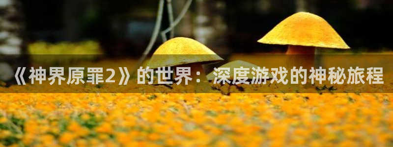 手机星欧娱乐下载安装：《神界原罪2》的世界：深度游戏的神秘旅