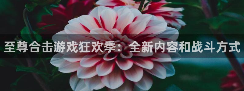 星欧娱乐代理登陆：至尊合击游戏狂欢季：全新内容和战斗方式