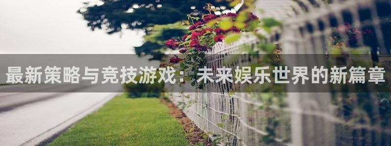 星欧娱乐平台：最新策略与竞技游戏：未来娱乐世界的新篇章