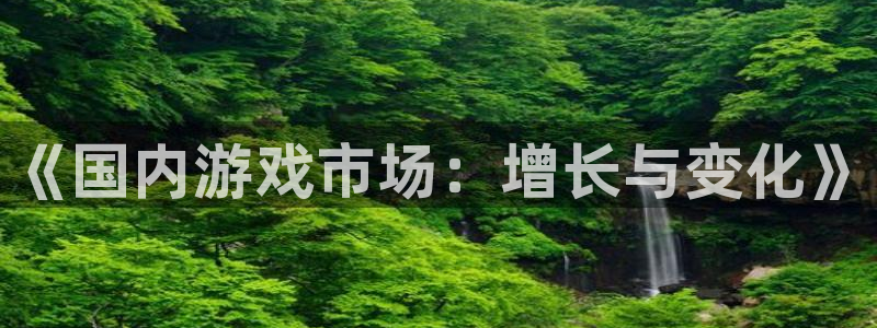 星欧娱乐娱乐：《国内游戏市场：增长与变化》