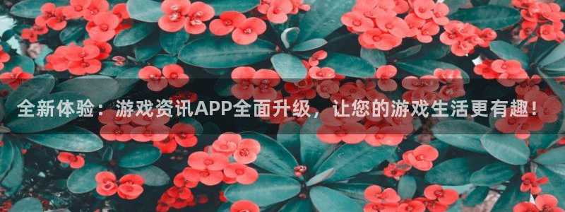 星欧娱乐网址注册：全新体验：游戏资讯APP全面升级，让您的游
