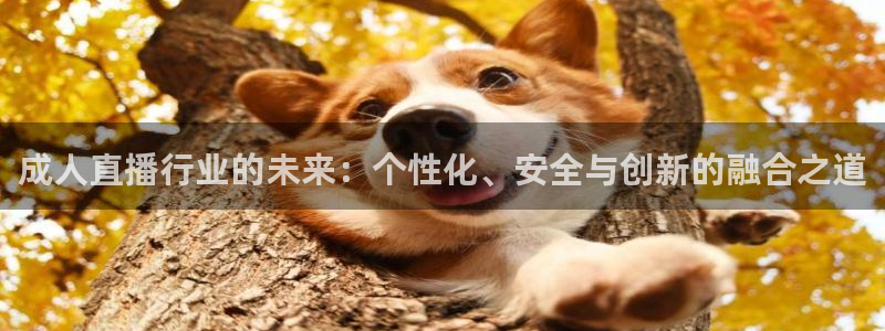 玩球直播观看：成人直播行业的未来：个性化、安全与创新的融合之道